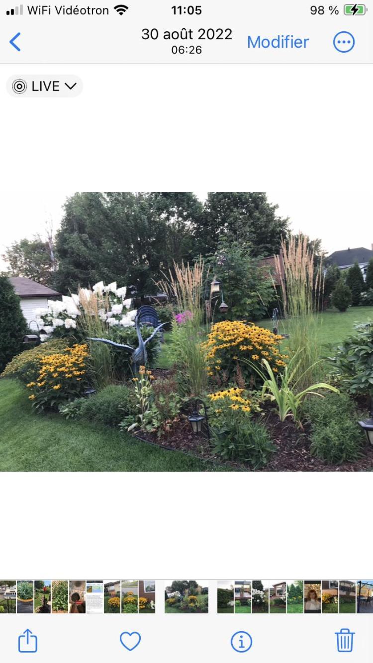 Oasis De La Riviere Lejlighed Chicoutimi Eksteriør billede